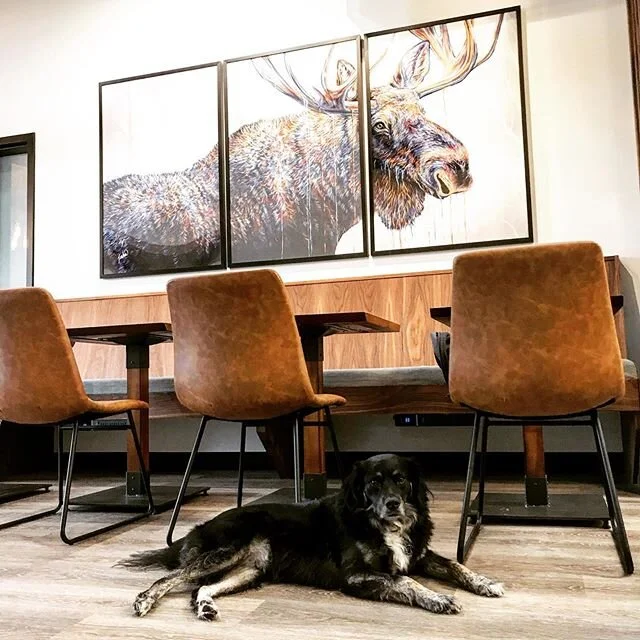 Communal workspace at The Lodge with leather chairs and moose artwork